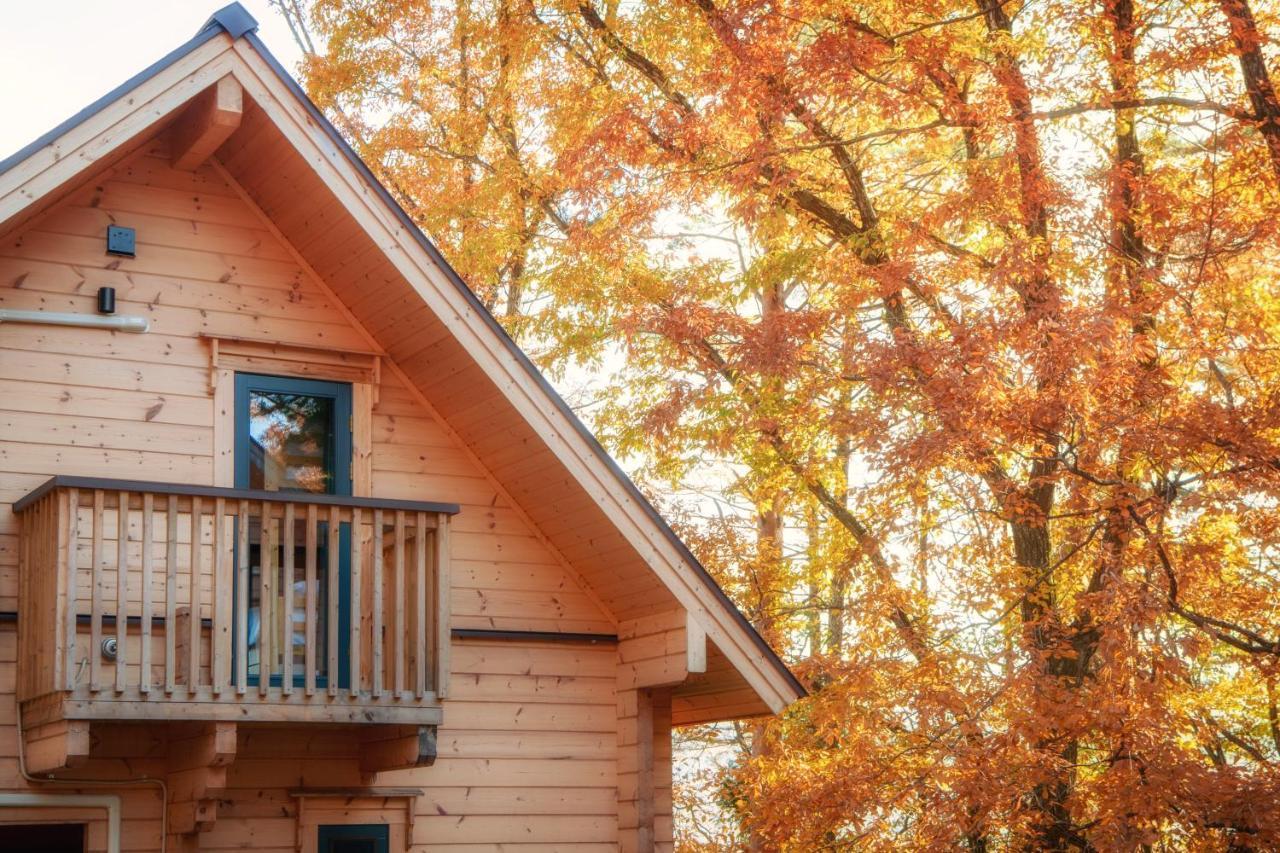 Villa Wadano Woods By Hhg Hakuba Esterno foto